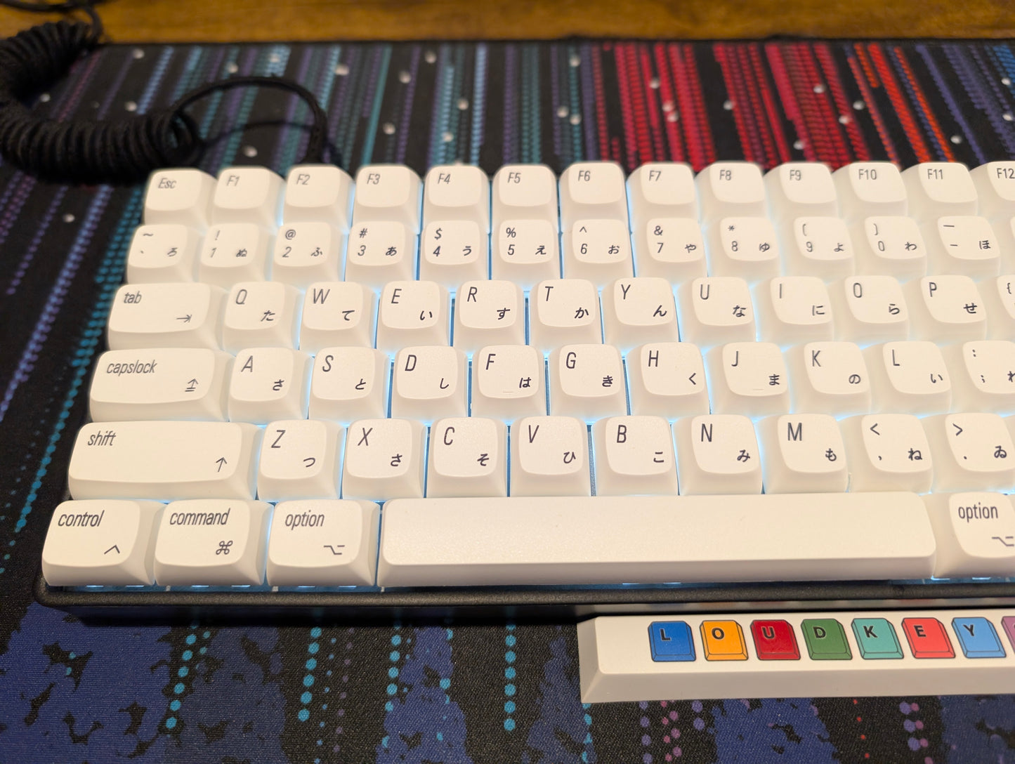 White and Black 96% Keyboard - Novice 100 with XDA Keycaps and Tactile Switches